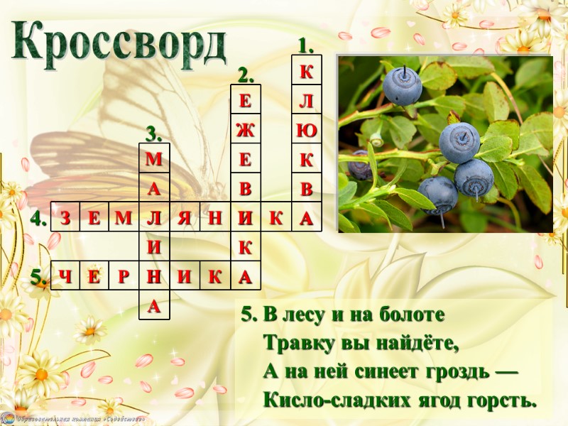 5. В лесу и на болоте     Травку вы найдёте, 